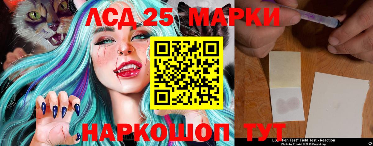 KRAKEN зеркало  Лсд 25 экстази кислота  Вход с VPN  Ноябрьск 