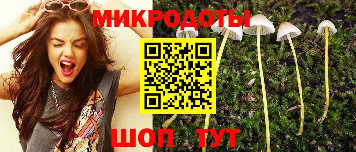 Галлюциногенные грибы GOLDEN TEACHER Ноябрьск